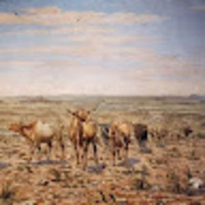 Meet your Posher, Jeff